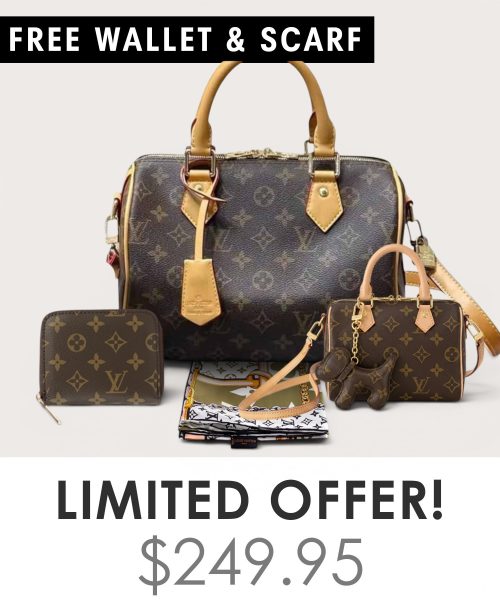 Big bag + Nano speedy + Gifts (Free LV Wallet + Free LV Silk Scarf)
