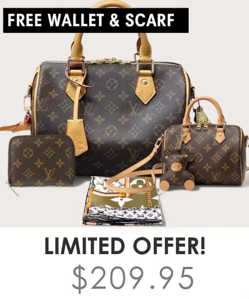 Big bag + Nano speedy + Gifts (Free LV Wallet + Free LV Silk Scarf)