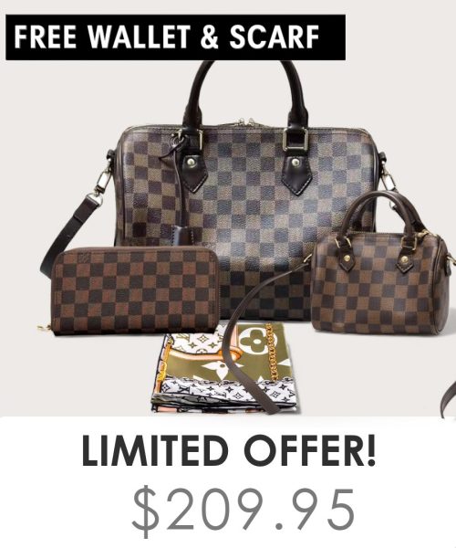 Big bag + Nano speedy + Gifts (Free LV Wallet + Free LV Silk Scarf)