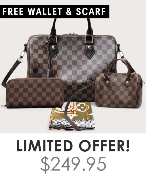 Big bag + Nano speedy + Gifts (Free LV Wallet + Free LV Silk Scarf)