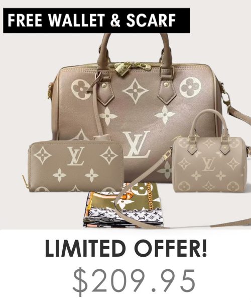 Big bag + Nano speedy + Gifts (Free LV Wallet + Free LV Silk Scarf)