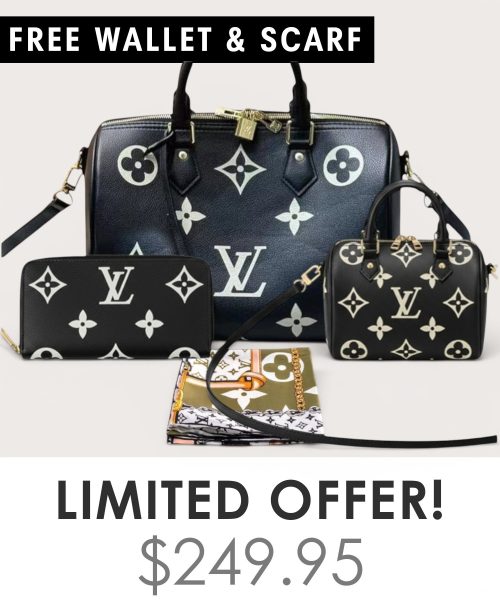 Big bag + Nano speedy + Gifts (Free LV Wallet + Free LV Silk Scarf)
