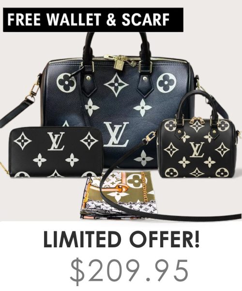 Big bag + Nano speedy + Gifts (Free LV Wallet + Free LV Silk Scarf)