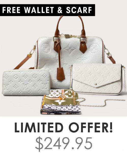 Big bag + Pochette Felicie Mini + Gifts(Free LV Wallet + Free LV Silk Scarf)