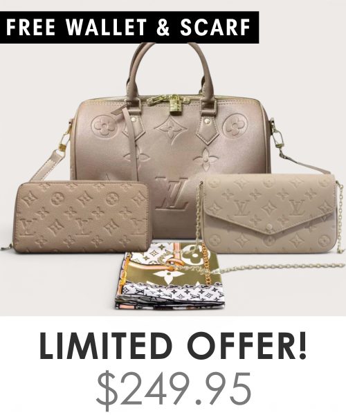 Big bag + Pochette Felicie Mini + Gifts(Free LV Wallet + Free LV Silk Scarf)