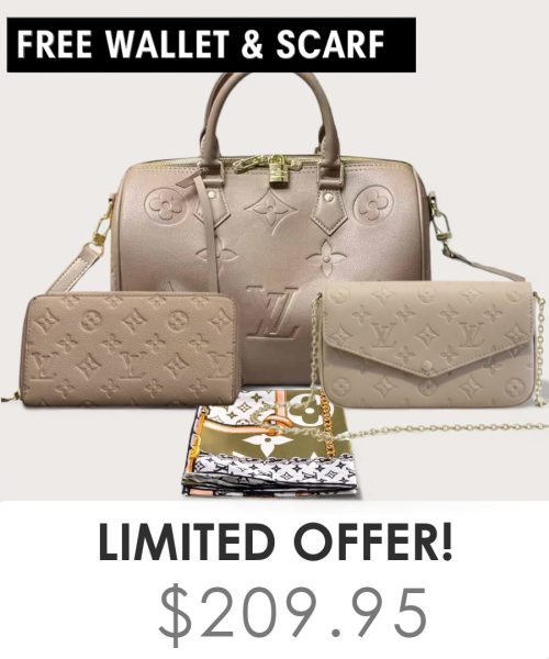 Big bag + Pochette Felicie Mini + Gifts(Free LV Wallet + Free LV Silk Scarf)