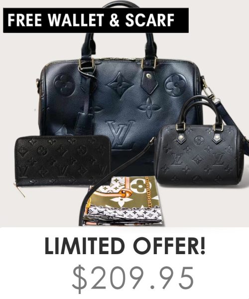 Big bag + Nano speedy + Gifts (Free LV Wallet + Free LV Silk Scarf)