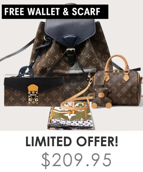 Big bag + Nano speedy + Gifts (Free LV Wallet + Free LV Silk Scarf)