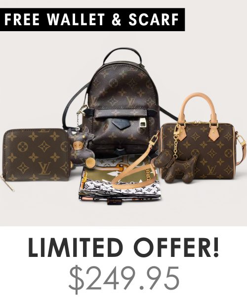 Big bag + Nano speedy + Gifts (Free LV Wallet + Free LV Silk Scarf)