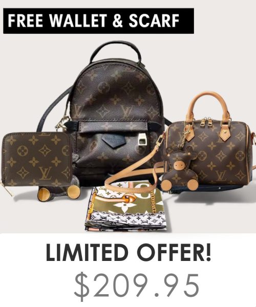Big bag + Nano speedy + Gifts (Free LV Wallet + Free LV Silk Scarf)