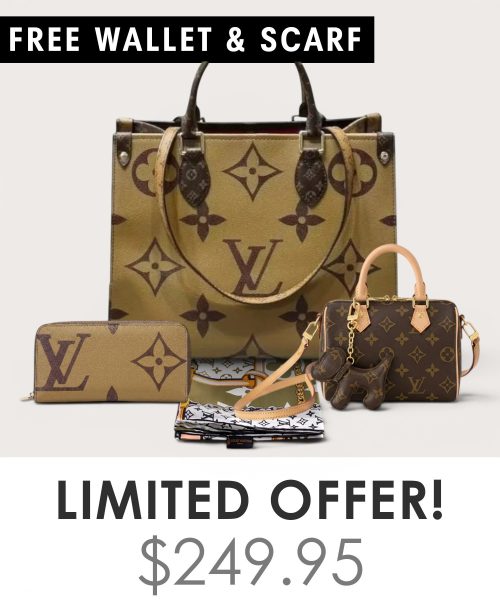 Big bag + Nano speedy + Gifts (Free LV Wallet + Free LV Silk Scarf)