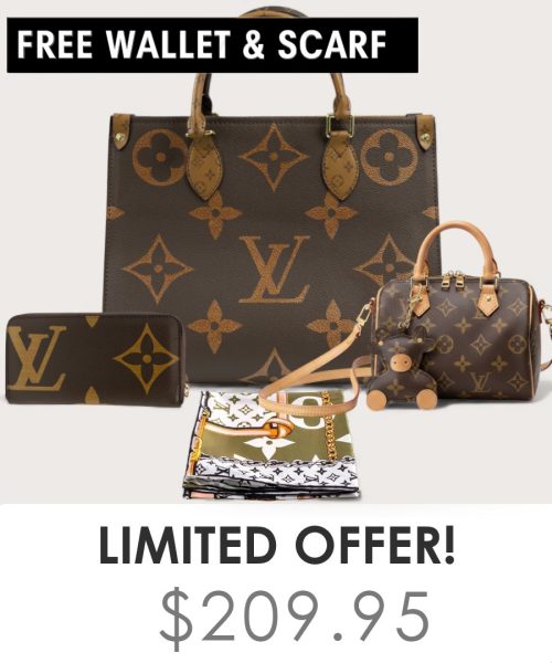 Big bag + Nano speedy + Gifts (Free LV Wallet + Free LV Silk Scarf)