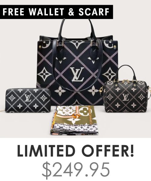 Big bag + Nano speedy + Gifts (Free LV Wallet + Free LV Silk Scarf)