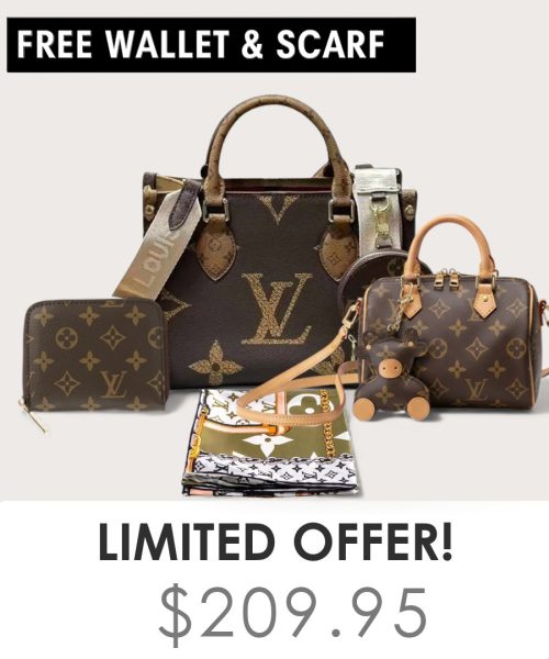 Big bag + Nano speedy + Gifts (Free LV Wallet + Free LV Silk Scarf)
