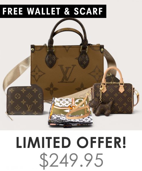 Big bag + Nano speedy + Gifts (Free LV Wallet + Free LV Silk Scarf)