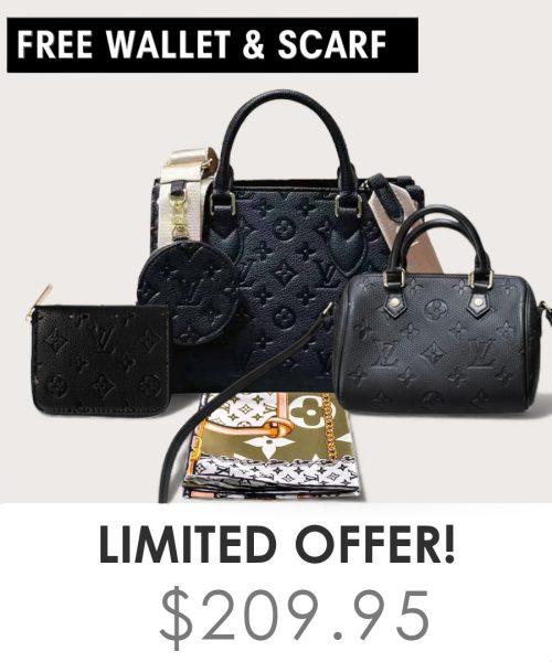Big bag + Nano speedy + Gifts (Free LV Wallet + Free LV Silk Scarf)