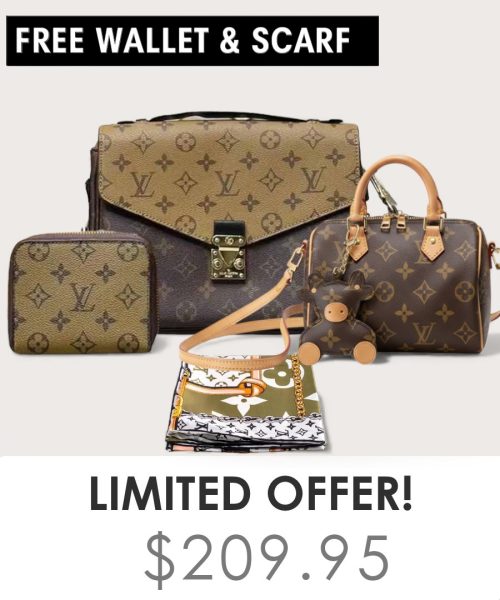 Big bag + Nano speedy + Gifts (Free LV Wallet + Free LV Silk Scarf)