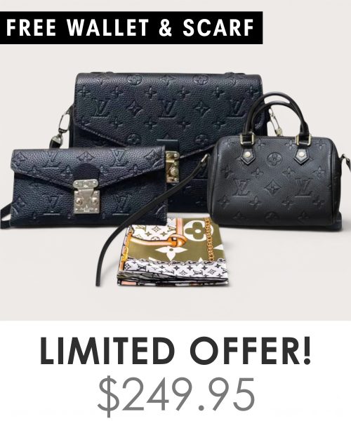 Big bag + Nano speedy + Gifts (Free LV Wallet + Free LV Silk Scarf)