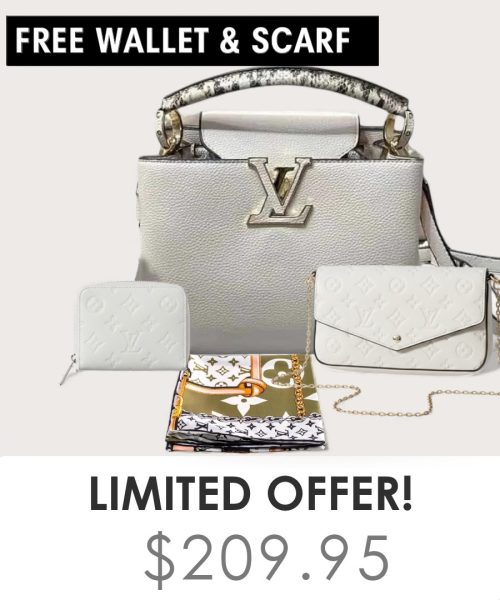 Big bag + Pochette Felicie Mini + Gifts(Free LV Wallet + Free LV Silk Scarf)