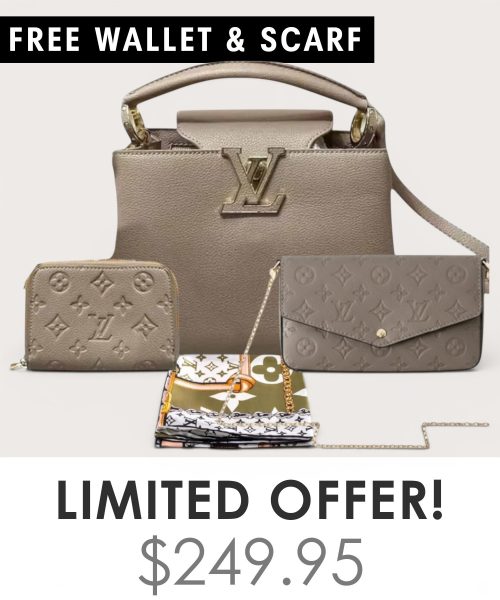 Big bag + Pochette Felicie Mini + Gifts(Free LV Wallet + Free LV Silk Scarf)