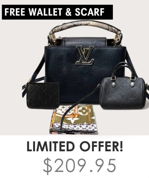 Big bag + Nano speedy + Gifts (Free LV Wallet + Free LV Silk Scarf)