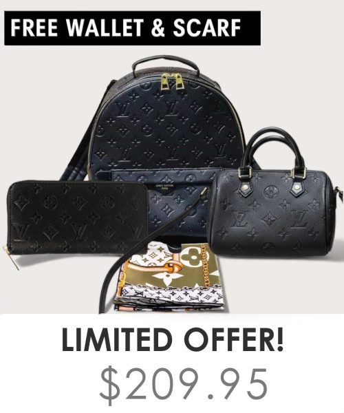 Big bag + Nano speedy + Gifts (Free LV Wallet + Free LV Silk Scarf)