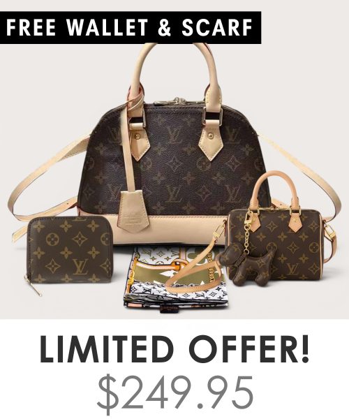 Big bag + Nano speedy + Gifts (Free LV Wallet + Free LV Silk Scarf)