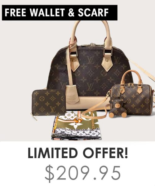 Big bag + Nano speedy + Gifts (Free LV Wallet + Free LV Silk Scarf)