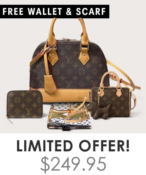 Big bag + Nano speedy + Gifts (Free LV Wallet + Free LV Silk Scarf)