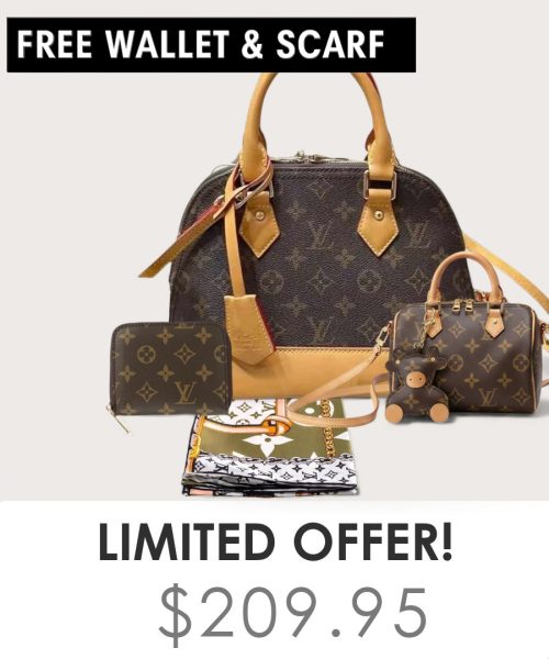 Big bag + Nano speedy + Gifts (Free LV Wallet + Free LV Silk Scarf)