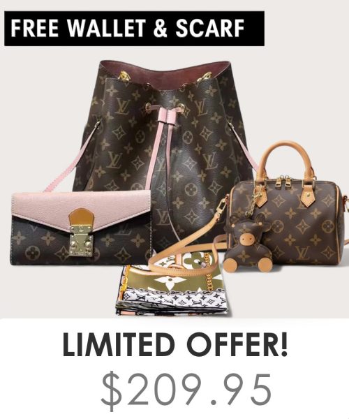 Big bag + Nano speedy + Gifts (Free LV Wallet + Free LV Silk Scarf)