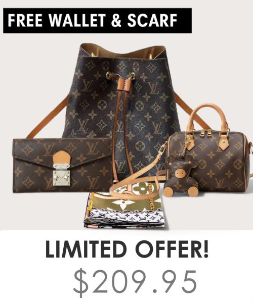 Big bag + Nano speedy + Gifts (Free LV Wallet + Free LV Silk Scarf)