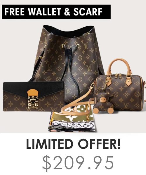 Big bag + Nano speedy + Gifts (Free LV Wallet + Free LV Silk Scarf)