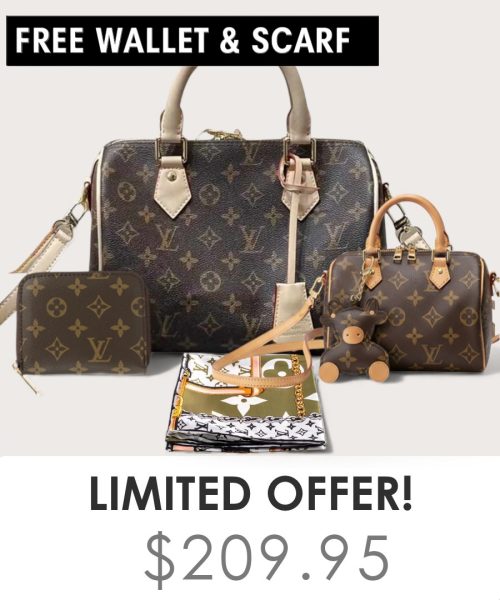 Big bag + Nano speedy + Gifts (Free LV Wallet + Free LV Silk Scarf)