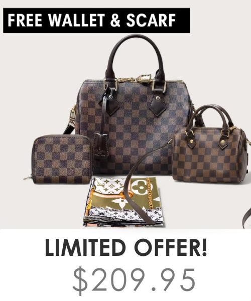 Big bag + Nano speedy + Gifts (Free LV Wallet + Free LV Silk Scarf)