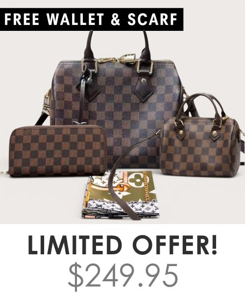 Big bag + Nano speedy + Gifts (Free LV Wallet + Free LV Silk Scarf)