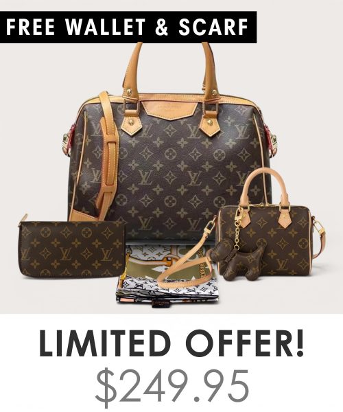 Big bag + Nano speedy + Gifts (Free LV Wallet + Free LV Silk Scarf)