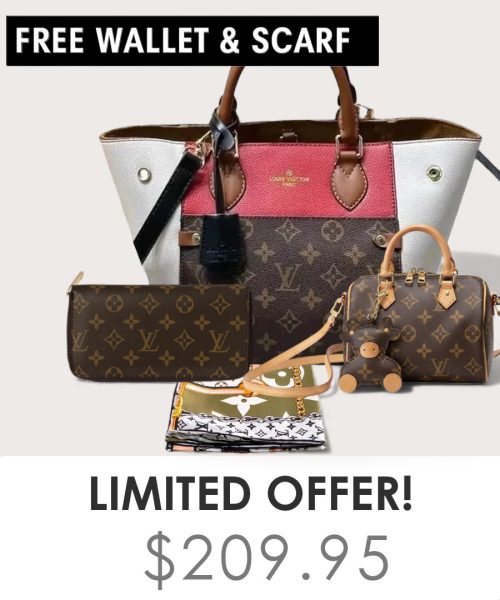 Big bag + Nano speedy + Gifts (Free LV Wallet + Free LV Silk Scarf)