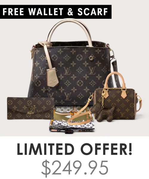 Big bag + Nano speedy + Gifts (Free LV Wallet + Free LV Silk Scarf)