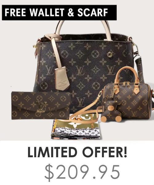 Big bag + Nano speedy + Gifts (Free LV Wallet + Free LV Silk Scarf)