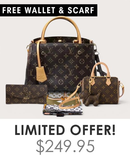 Big bag + Nano speedy + Gifts (Free LV Wallet + Free LV Silk Scarf)