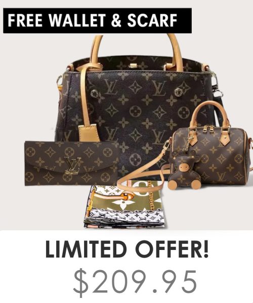 Big bag + Nano speedy + Gifts (Free LV Wallet + Free LV Silk Scarf)