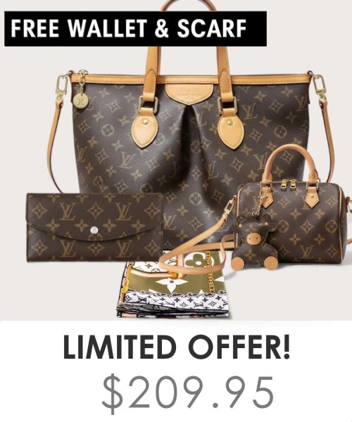 Big bag + Nano speedy + Gifts (Free LV Wallet + Free LV Silk Scarf)