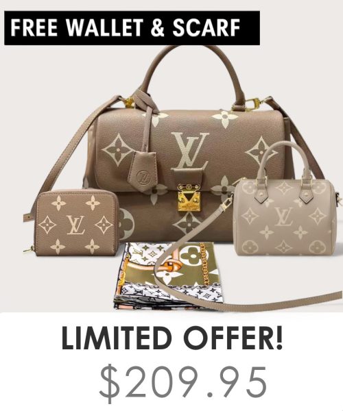 Big bag + Nano speedy + Gifts (Free LV Wallet + Free LV Silk Scarf)