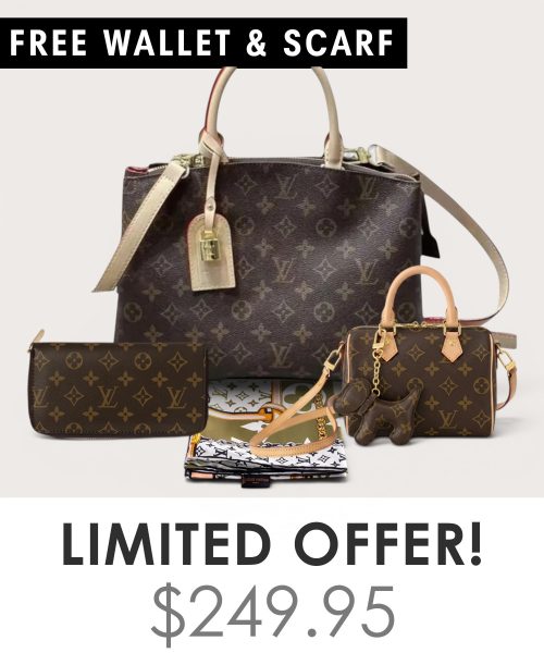Big bag + Nano speedy + Gifts (Free LV Wallet + Free LV Silk Scarf)