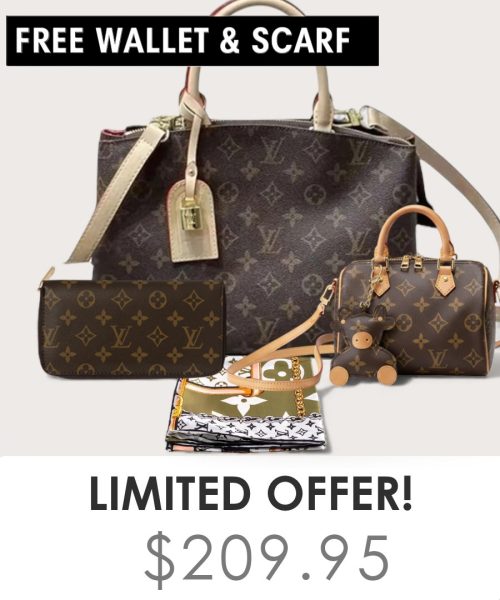 Big bag + Nano speedy + Gifts (Free LV Wallet + Free LV Silk Scarf)