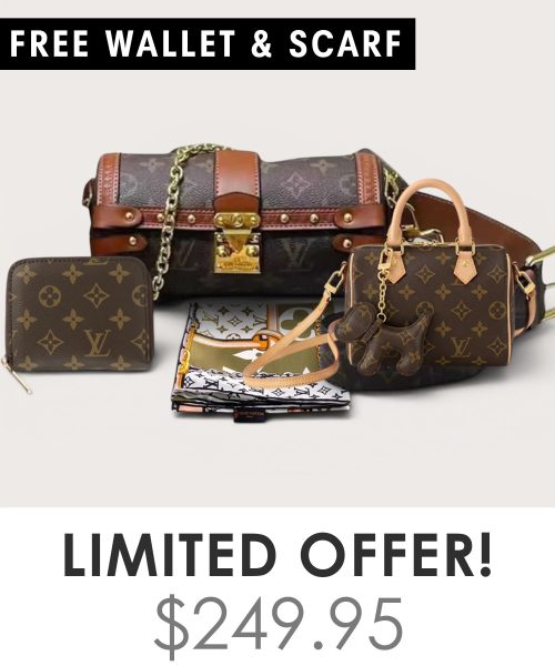 Big bag + Nano speedy + Gifts (Free LV Wallet + Free LV Silk Scarf)