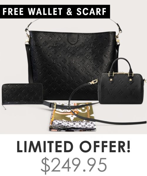 Big bag + Nano speedy + Gifts (Free LV Wallet + Free LV Silk Scarf)