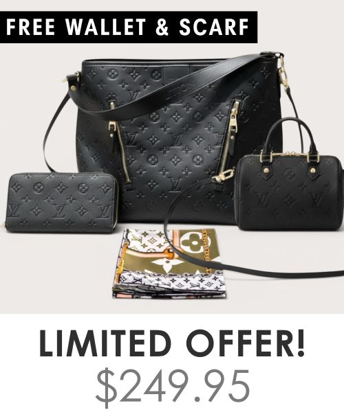 Big bag + Nano speedy + Gifts (Free LV Wallet + Free LV Silk Scarf)