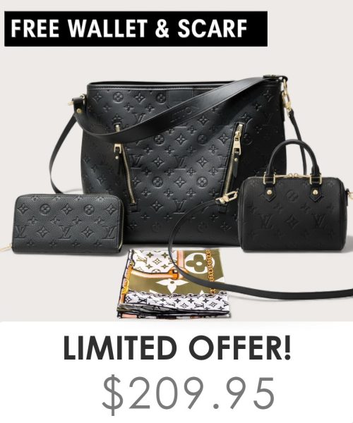 Big bag + Nano speedy + Gifts (Free LV Wallet + Free LV Silk Scarf)